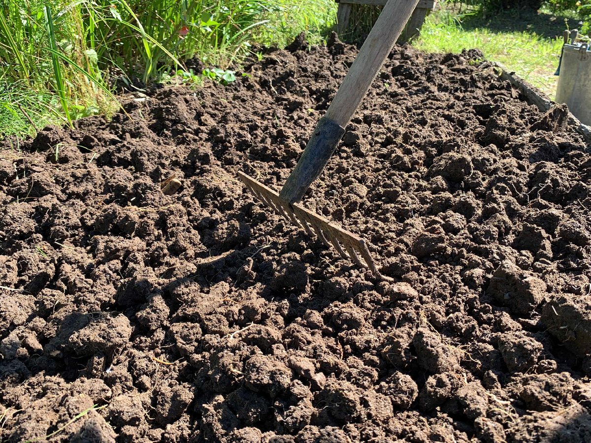 Городники розповіли, чому звична перекопка ґрунту може шкодити землі. Фото: YouTube