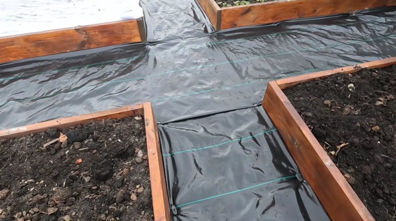 Дачники розповіли, які грядки та доріжки краще зробити на городі у 2026 році Фото: YouTube Наша дача! Дачники розповіли, які грядки та доріжки краще зробити на городі у 2026 році Фото: YouTube Наша дача!