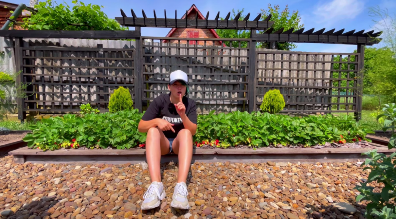 Садівники показали, як має виглядати найкраща грядка для полуниці Фото: YouTube Корисні Корисності