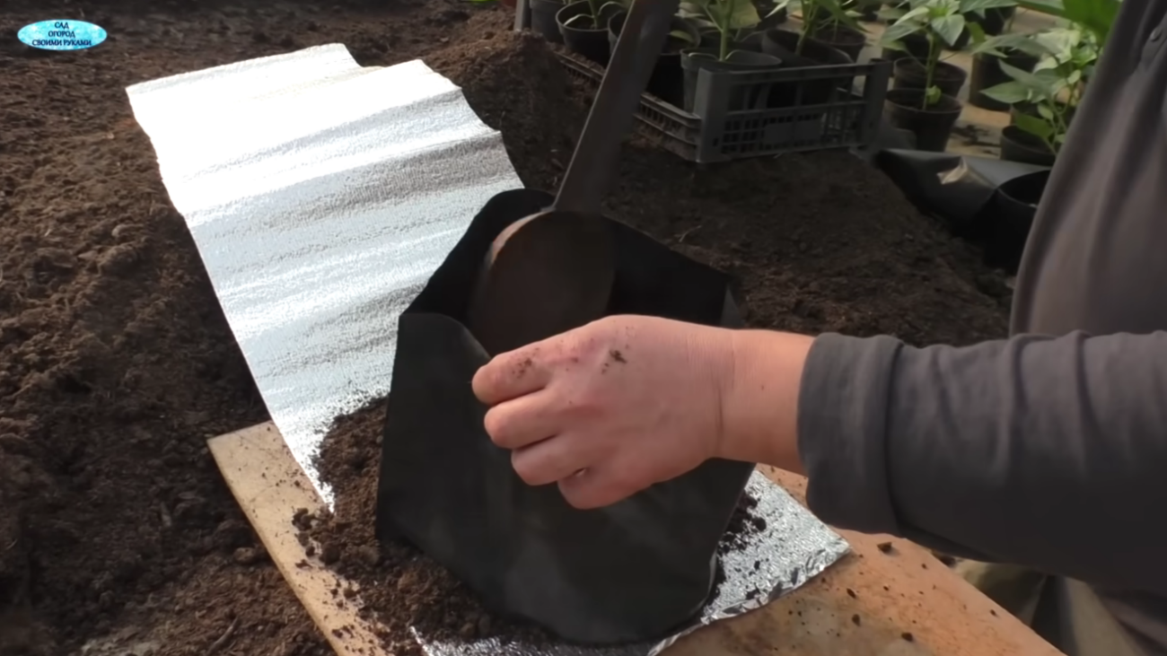 Садівники розповіли про дивний спосіб посадки перцю для супер-раннього врожаю Фото: YouTube САД, ГОРОД, СВОЇМИ РУКАМИ