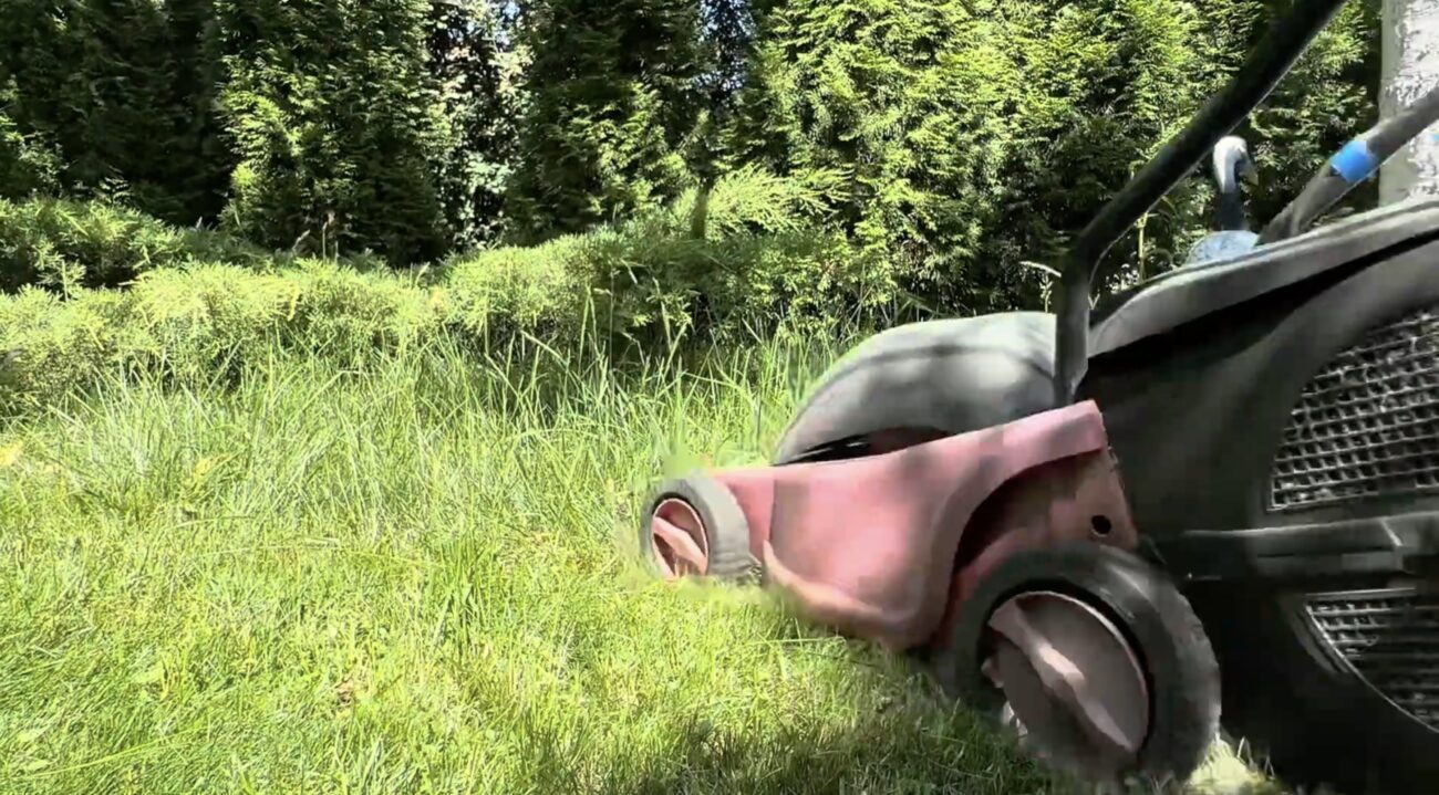 Садівники розповіли, як і коли обробити ділянку від кліщів. Фото: YouTube Дача Кухня Відпочинок Садівники розповіли, як і коли обробити ділянку від кліщів. Фото: YouTube Дача Кухня Відпочинок