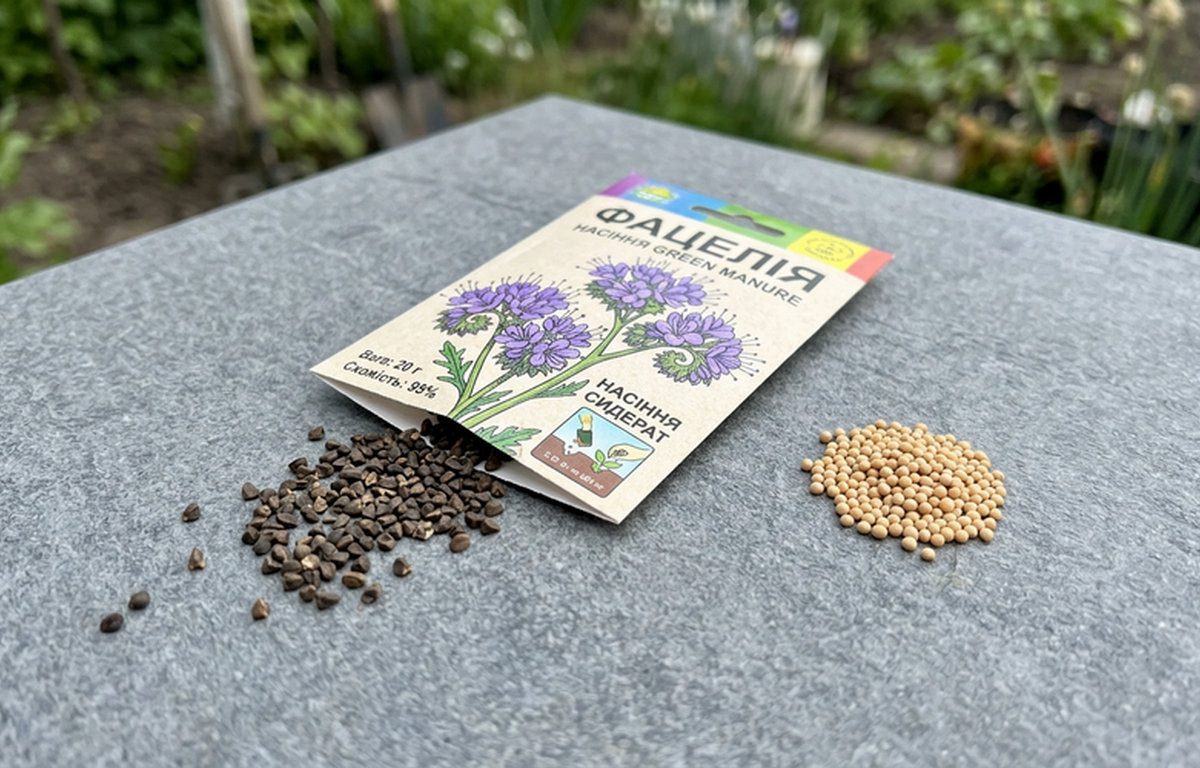 Крім гірчиці навесні та восени можна використовувати інші корисні сидерати