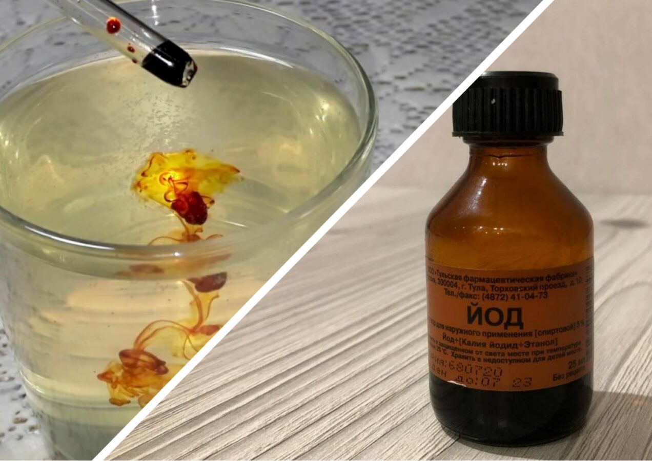 Агрономи розповіли, навіщо поливати капусту йодовим розчином. Фото: скріншот з відео