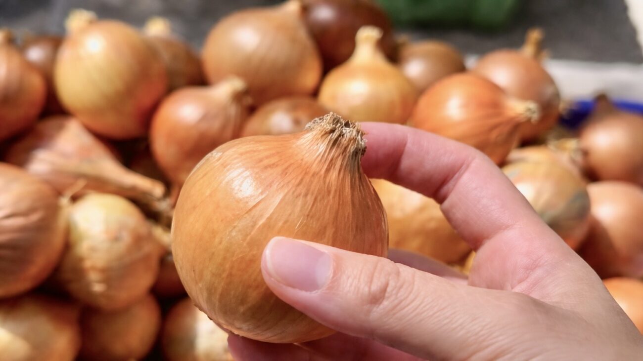 Дачники розповіли, з якого посівного матеріалу цибуля дає найкращий врожай. Фото: Добрі новини 