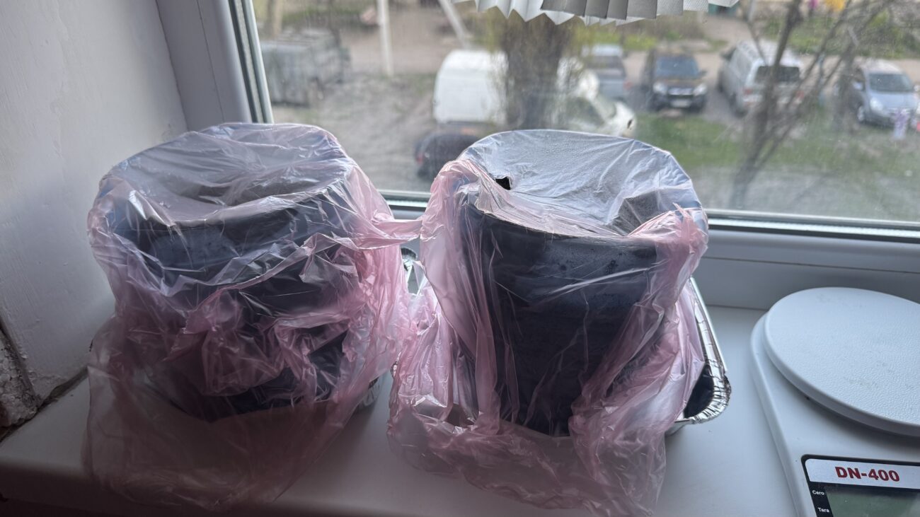 Городники назвали причину, чому розсада на підвіконні повільно сходить. Фото: Добрі новини Городники назвали причину, чому розсада на підвіконні повільно сходить. Фото: Добрі новини