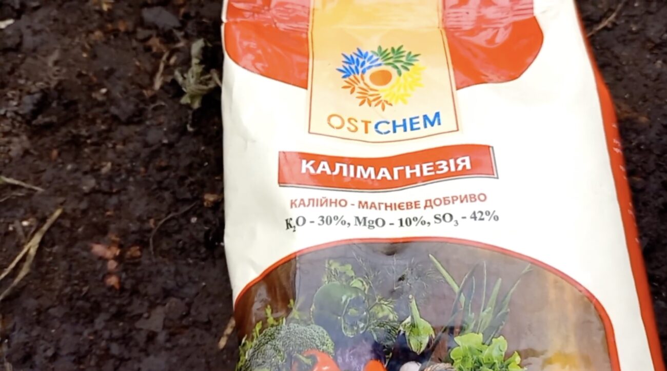 Городники назвали набагато дешевшу альтернативу гною. Фото: YouTube Любов Поляєва Городники назвали набагато дешевшу альтернативу гною. Фото: YouTube Любов Поляєва