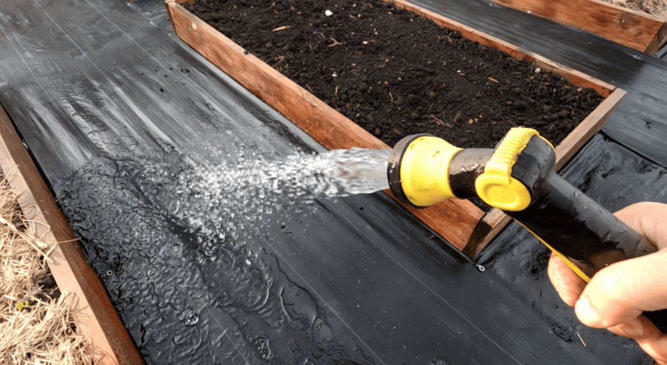 Дача без бруду: як проста та дешева агротканина робить город охайним Фото: Ютуб-канал Наша дача!