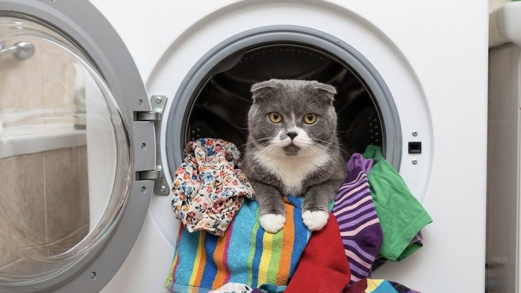 Господині розповіли, як очистити пральну машину від накипу та плісняви. Фото: Добрі новини