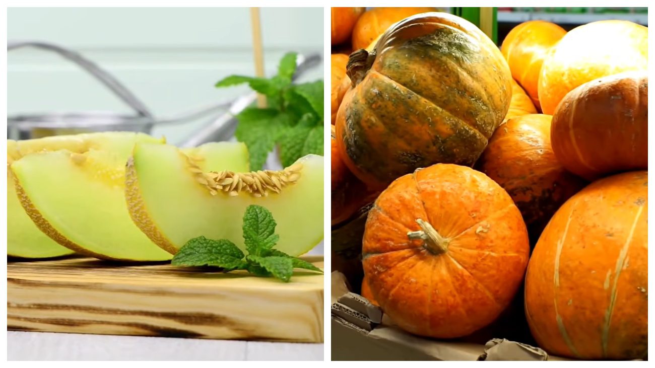 Городники розповіли, коли у цьому році саджати баштанні культури. Фото: YouTube Місячна Країна