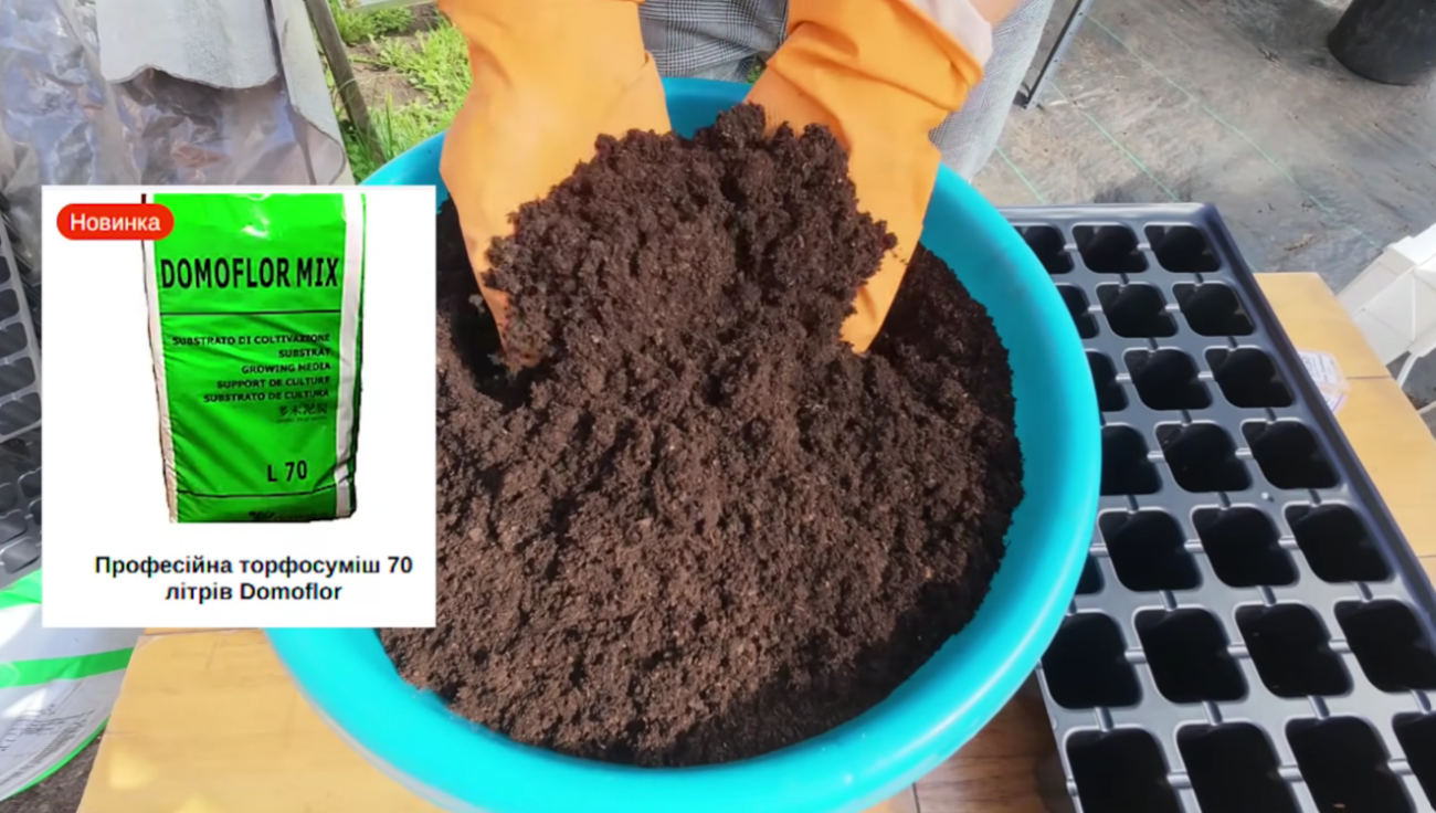 Городники розповіли, як потрібно правильно сіяти низькорослі томати у касети Фото: Ютуб-канал Наша дача