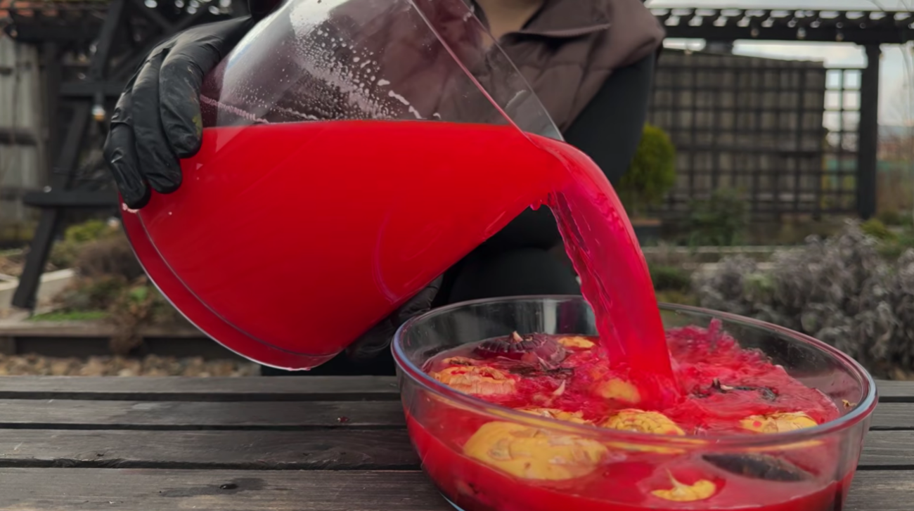 Садівники розповіли всі секрети та нюанси посадки гладіолусів Фото: скриншот Ютуб-канал Корисні Корисності