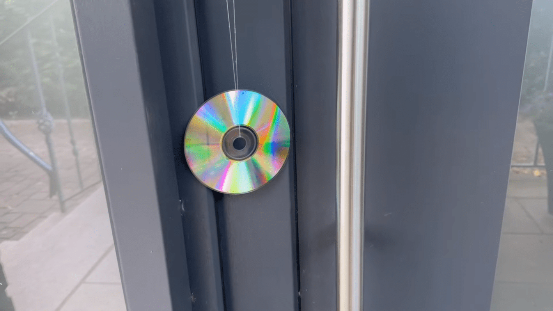 Експерти розповіли, як захистити дім від комах і птахів. Фото: YouTube/Smart Fox