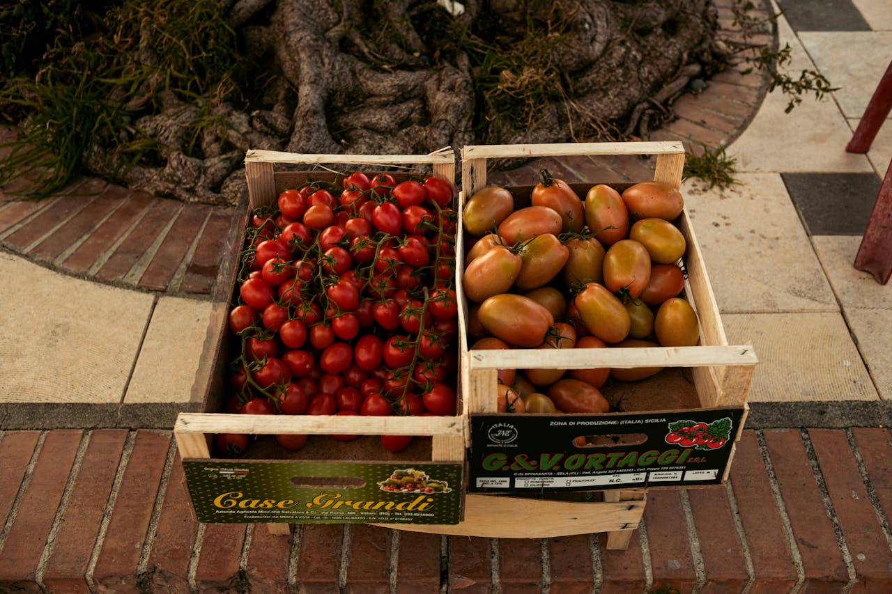 Городники розповіли, які добрива дати томатам після пікірування. Фото: Pexels