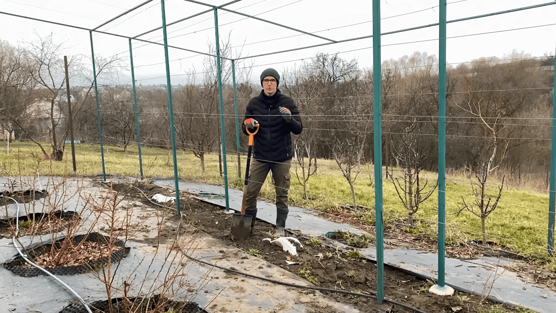 Городники розповіли про догляд за виноградом навесні. Фото: YouTube/Корисне TV