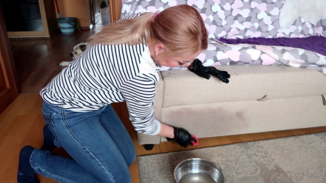 Господині розповіли, як почистити диван без професійних девайсів. Фото: скриншот з відео
