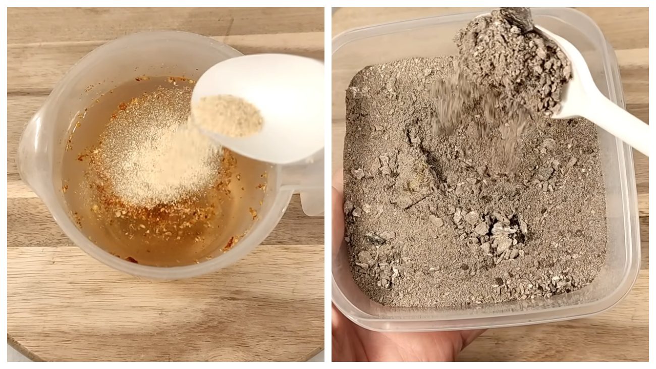 Садівники порадили дієвий рецепт позбутися від слимаків. Фото: YouTube PLANTS