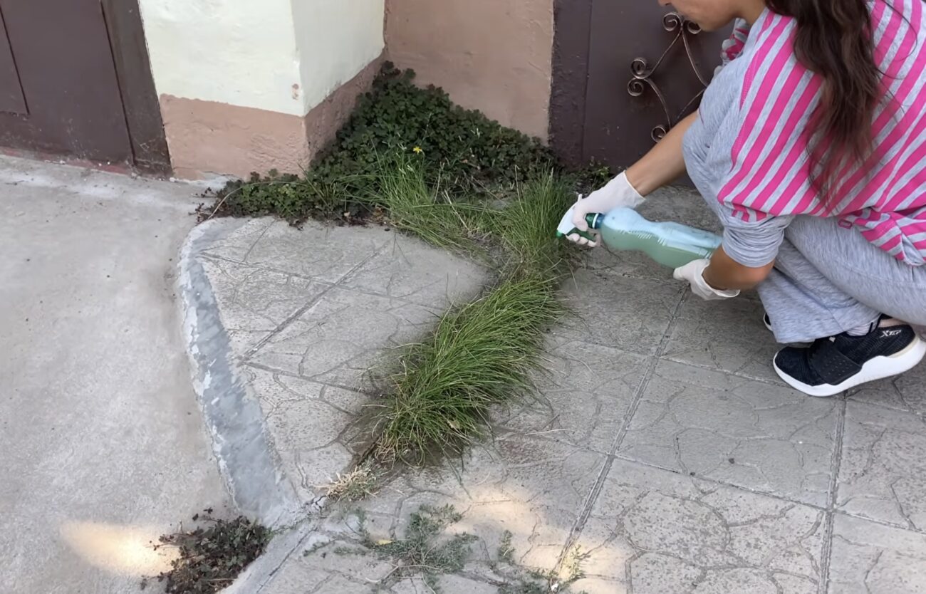 Городники розповіли, як приготувати розчин проти бурʼянів. Фото: скриншот з відео