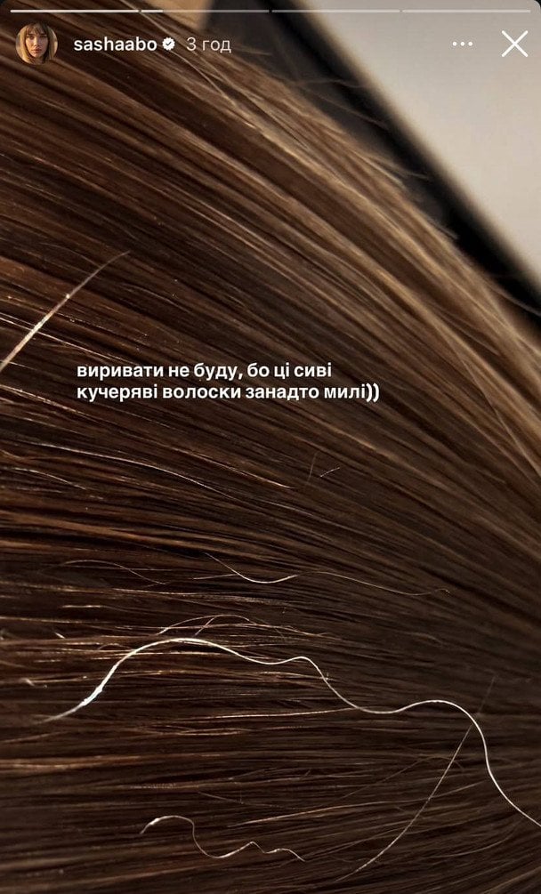 Сивина у волоссі Саші Бо / © instagram.com/sashaabo