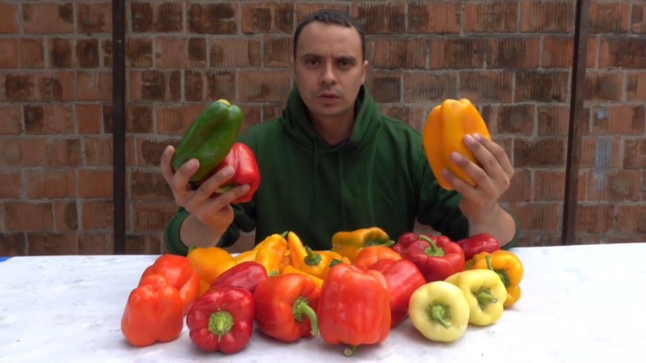 Експерти пояснили, чому так різко міняються ціни на овочі. Фото: YouTube Зелена Планета