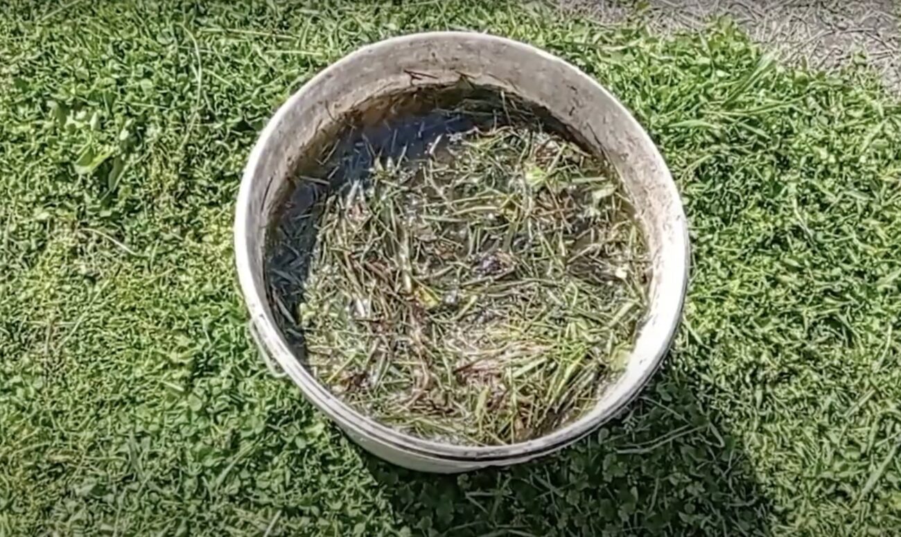 Городники розповіли, як із користю використовувати на дачі бурʼяни. Фото: скріншот з відео