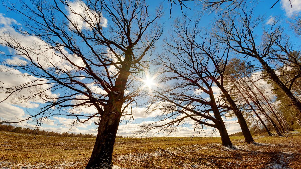Знадобляться сонячні окуляри та парасольки: детальний прогноз погоди на понеділок, 31 березня - Blik
