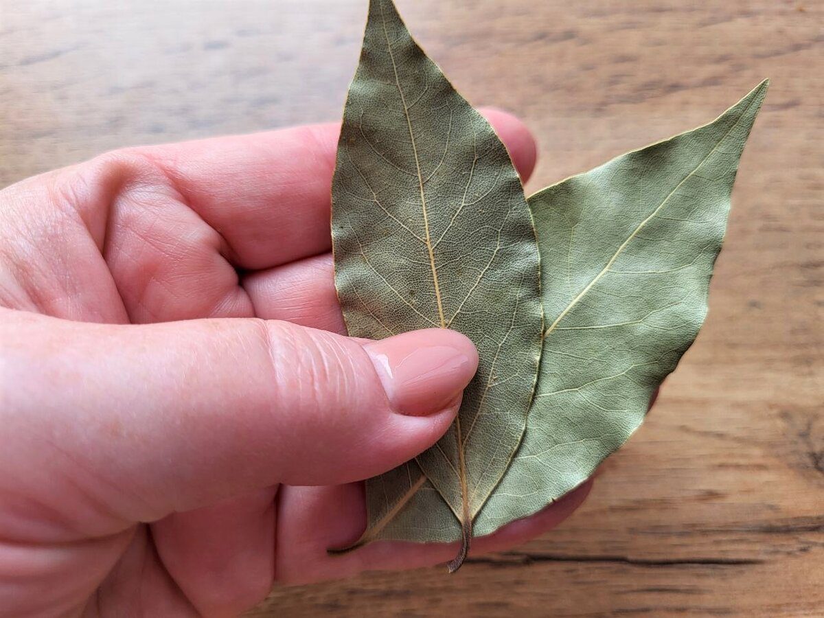 Господині розповіли, як використовувати лавровий лист у побуті. Фото: скріншот з відео