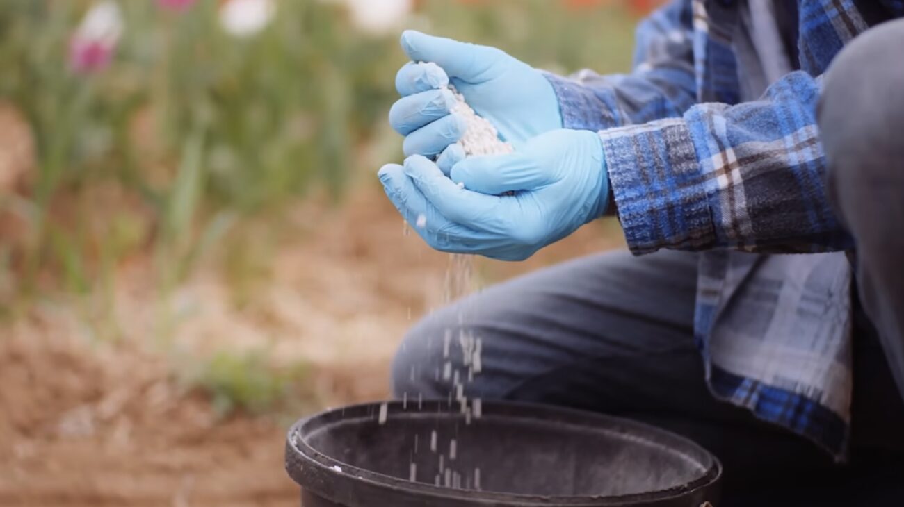Городники назвали дні, коли не можна займатися городніми справами. Фото: YouTube-канал NASINTRAV 