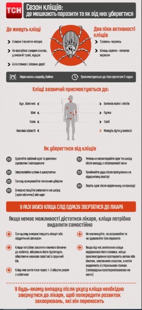 Кліщі є переносниками понад 150 хвороб - де мешкають і що робити у разі укусу