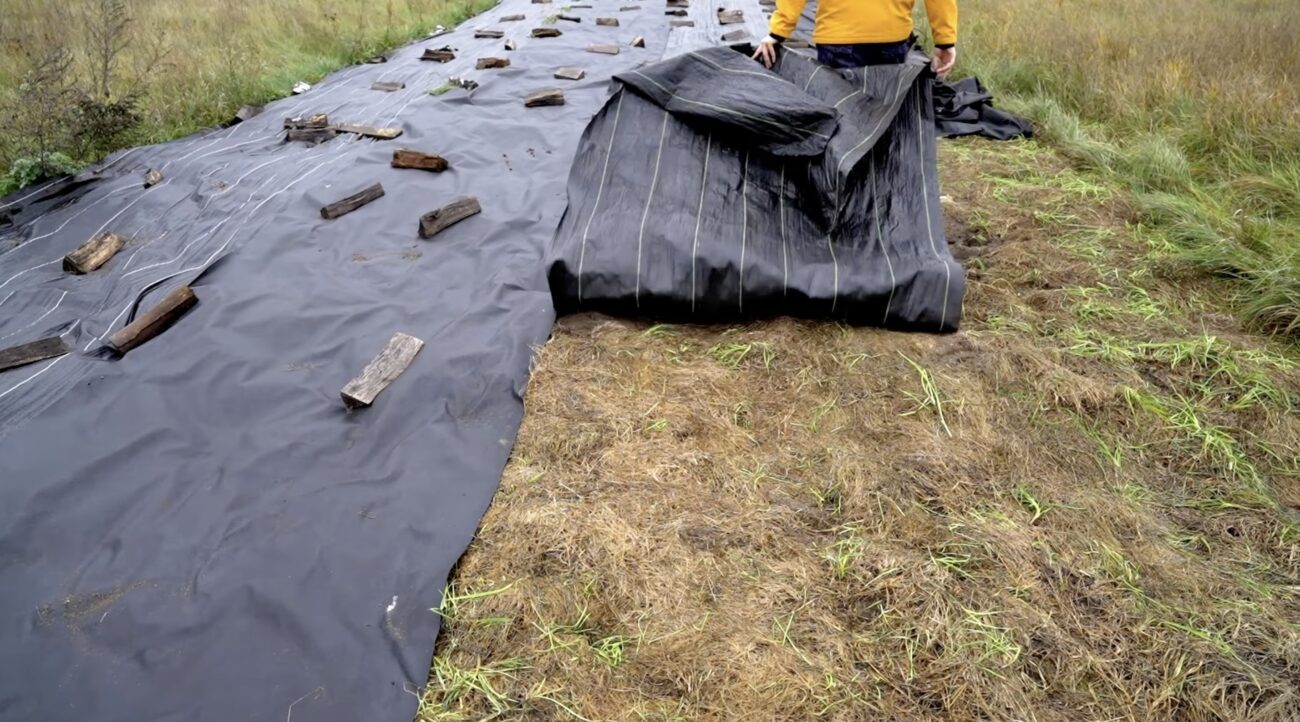 Городники розповіли, як прискорити прогрів ґрунту на грядках. Фото: YouTube Життя за містом