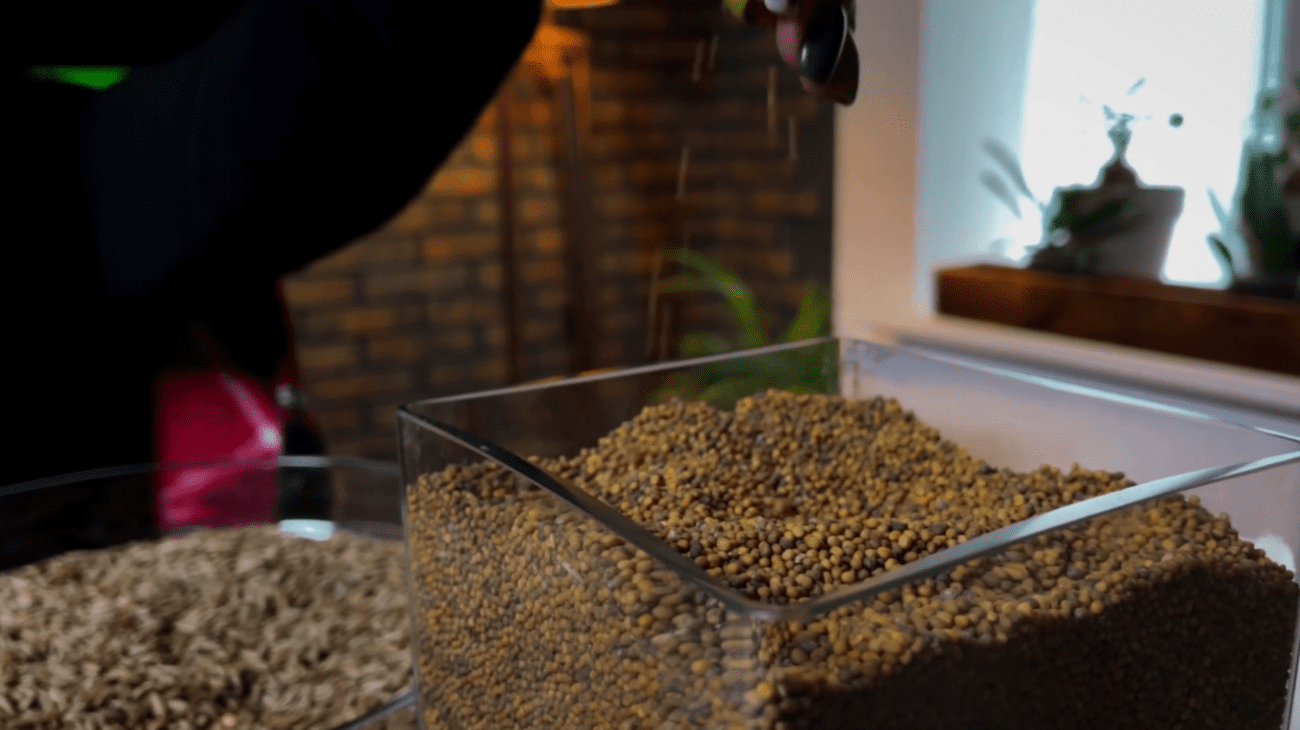 Садівники назвали найкращі весняні сидерати для теплиці Фото: YouTube Корисні Корисності