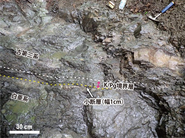 Фото: the Tohoku University-led K-Pg research team