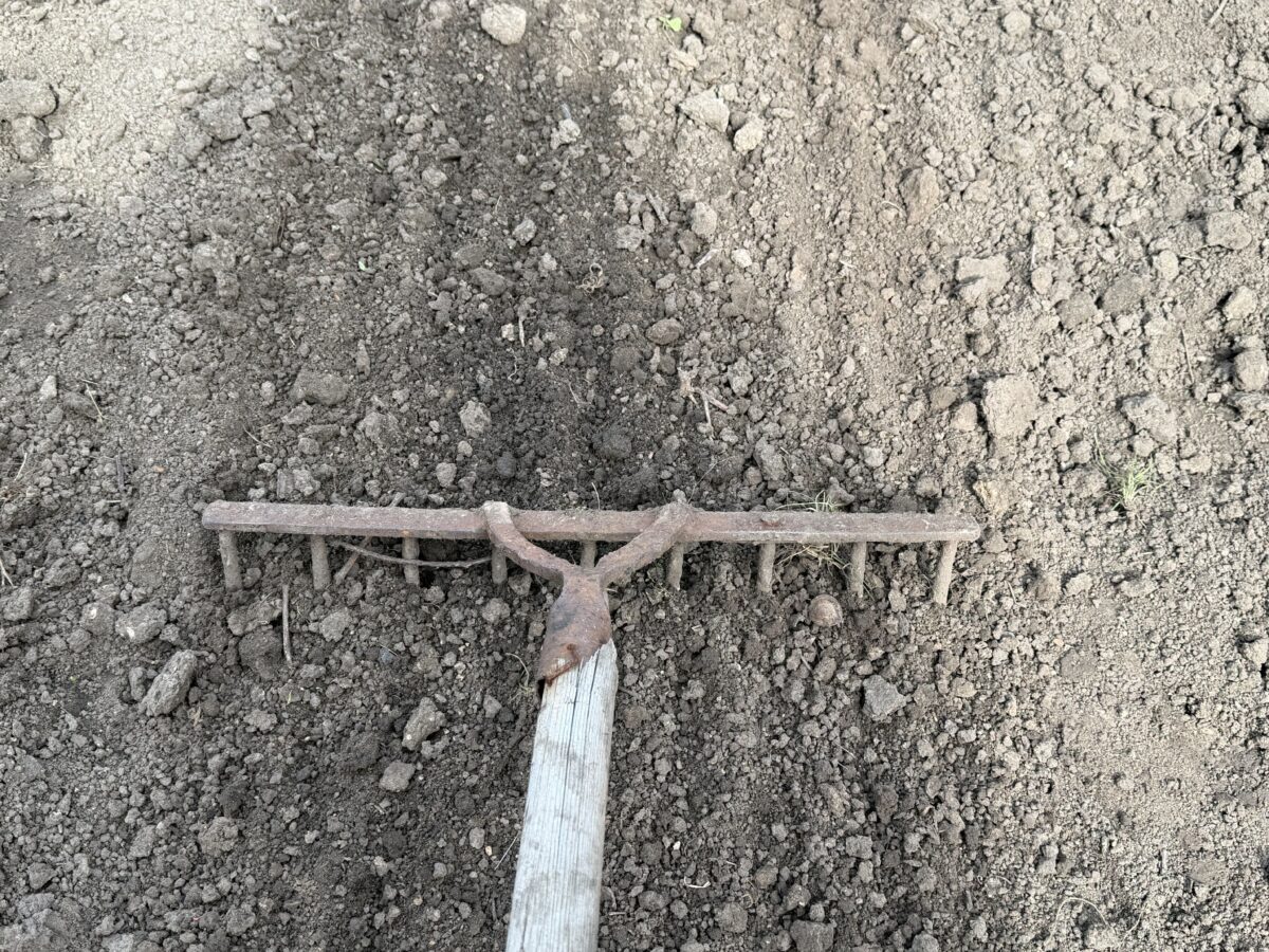 Агрономи дали пораду, як доглядати за ґрунтом на городі та у саду. Фото: Добрі новини 