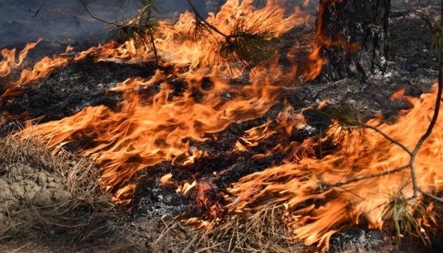 Нідерландські рятувальники допомагають гасити масштабні лісові пожежі в Іспанії